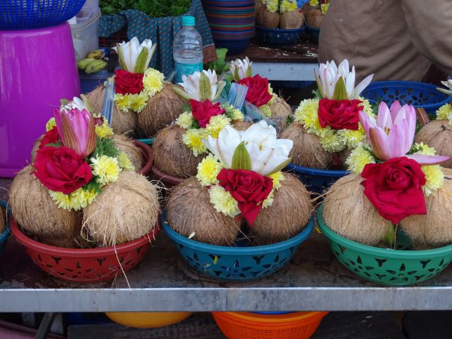Mysore